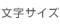 �����T�C�Y